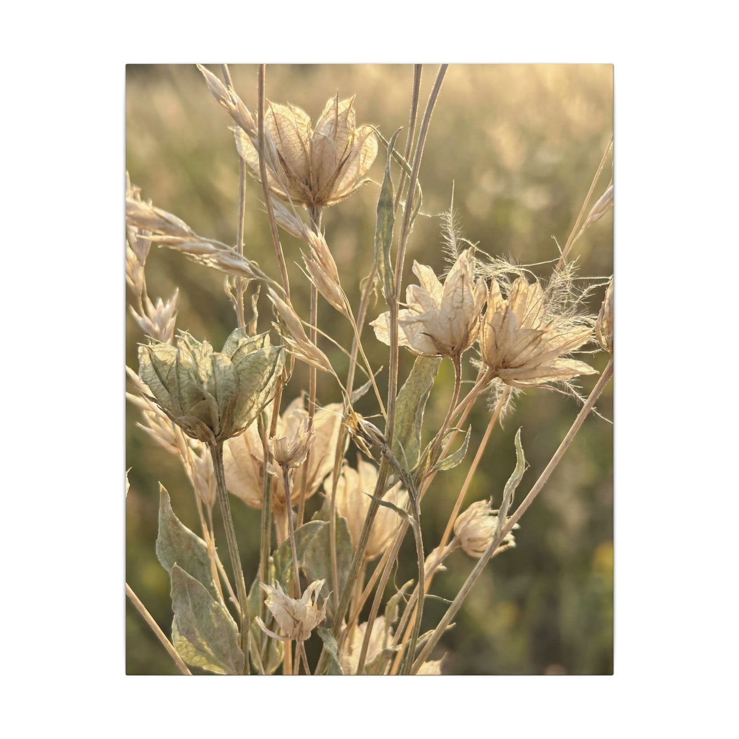 Summer Dried Flowers Minimal Line Canvas Art | Cozy Decor