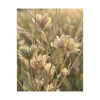 Summer Dried Flowers Minimal Line Canvas Art | Cozy Decor