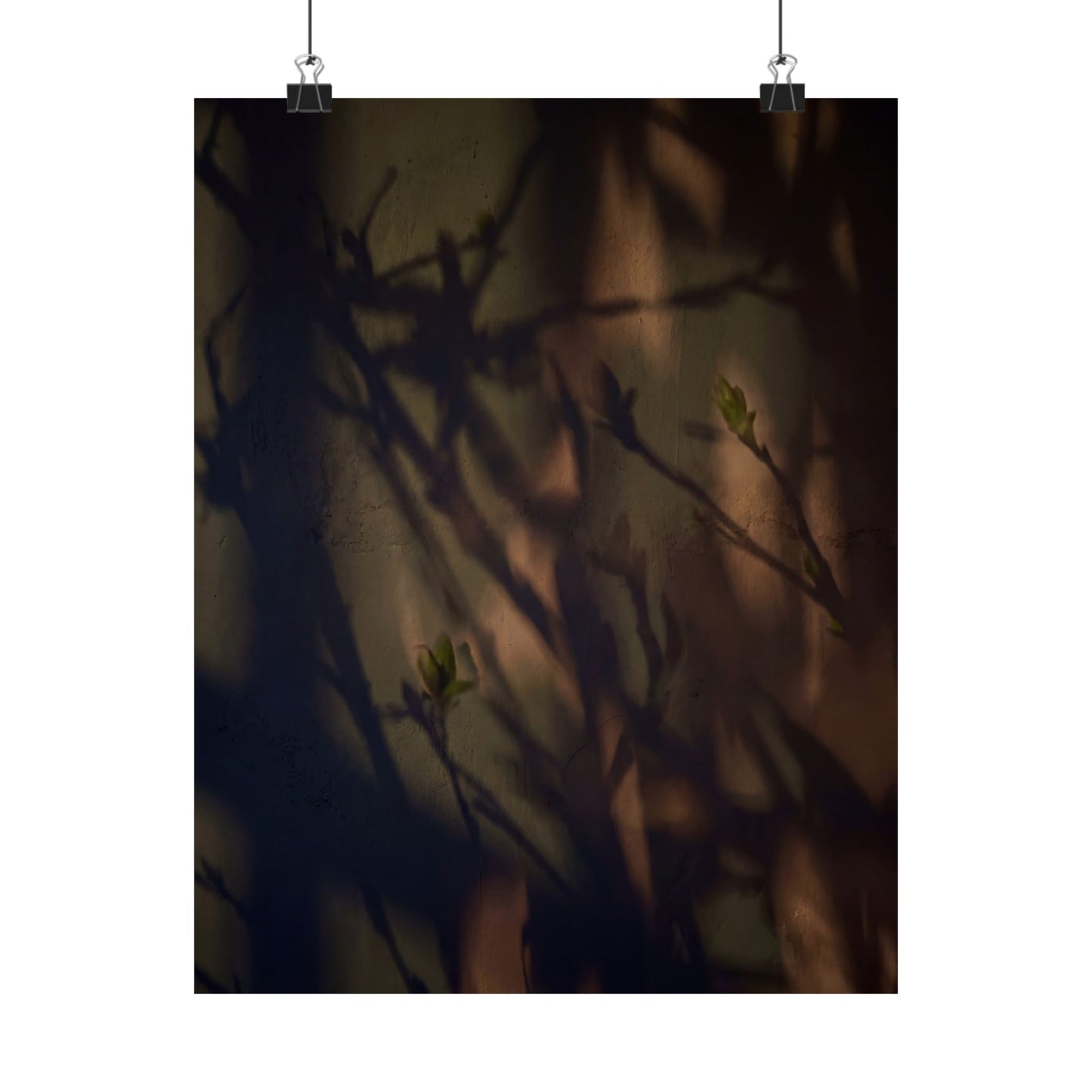 Shadow Play Spring Wall Art Print | Dark Japandi Sophisticated Design