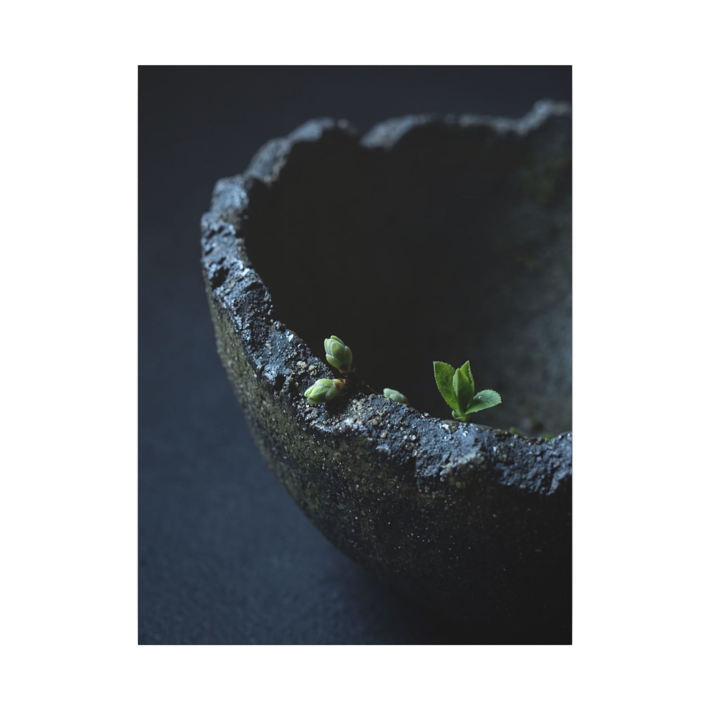 Dark Japandi Ceramic Bowl in Moonlight | Moody Minimal Canvas Art