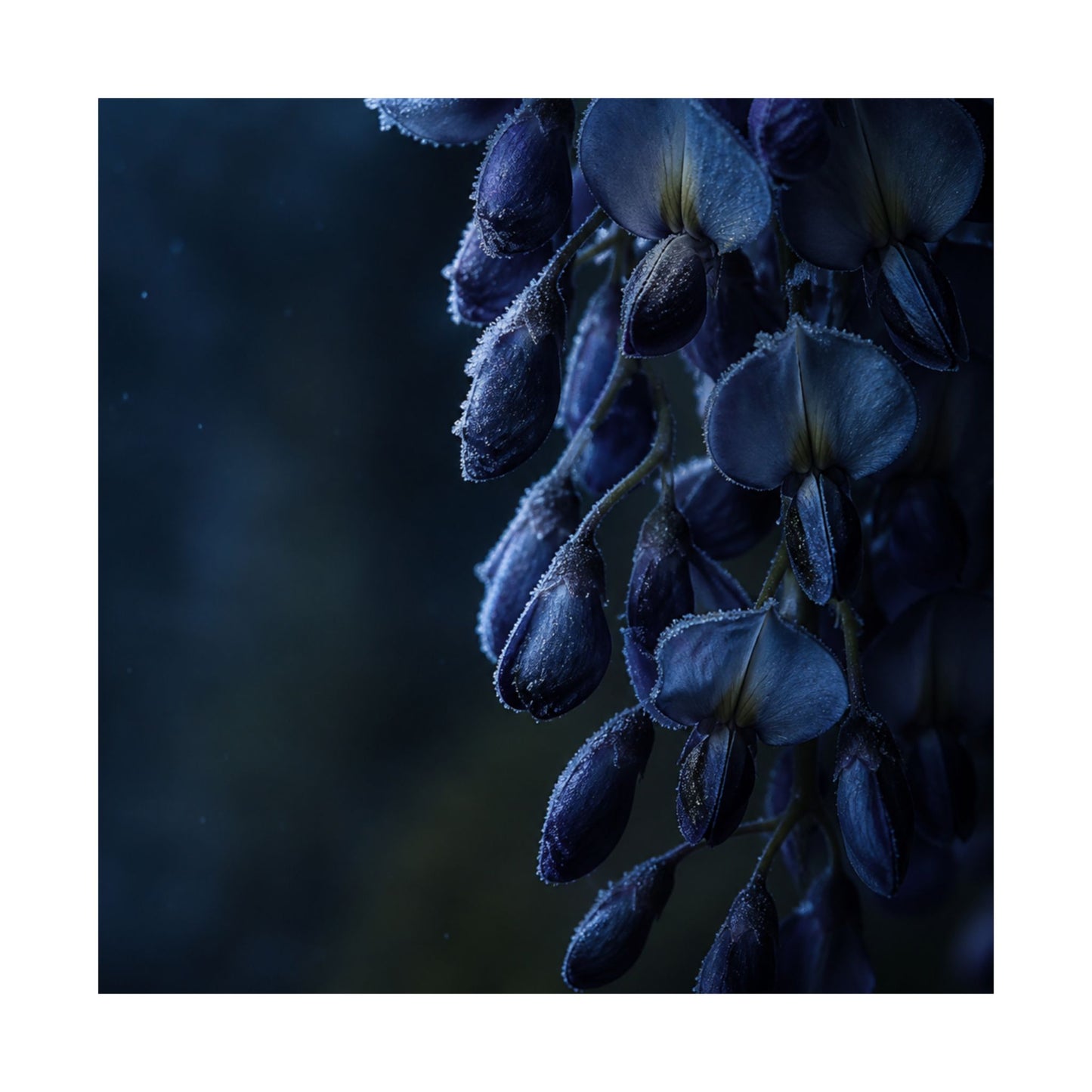 Wisteria Shadow Zen Wall Art Print | Sophisticated Dark Japandi Art