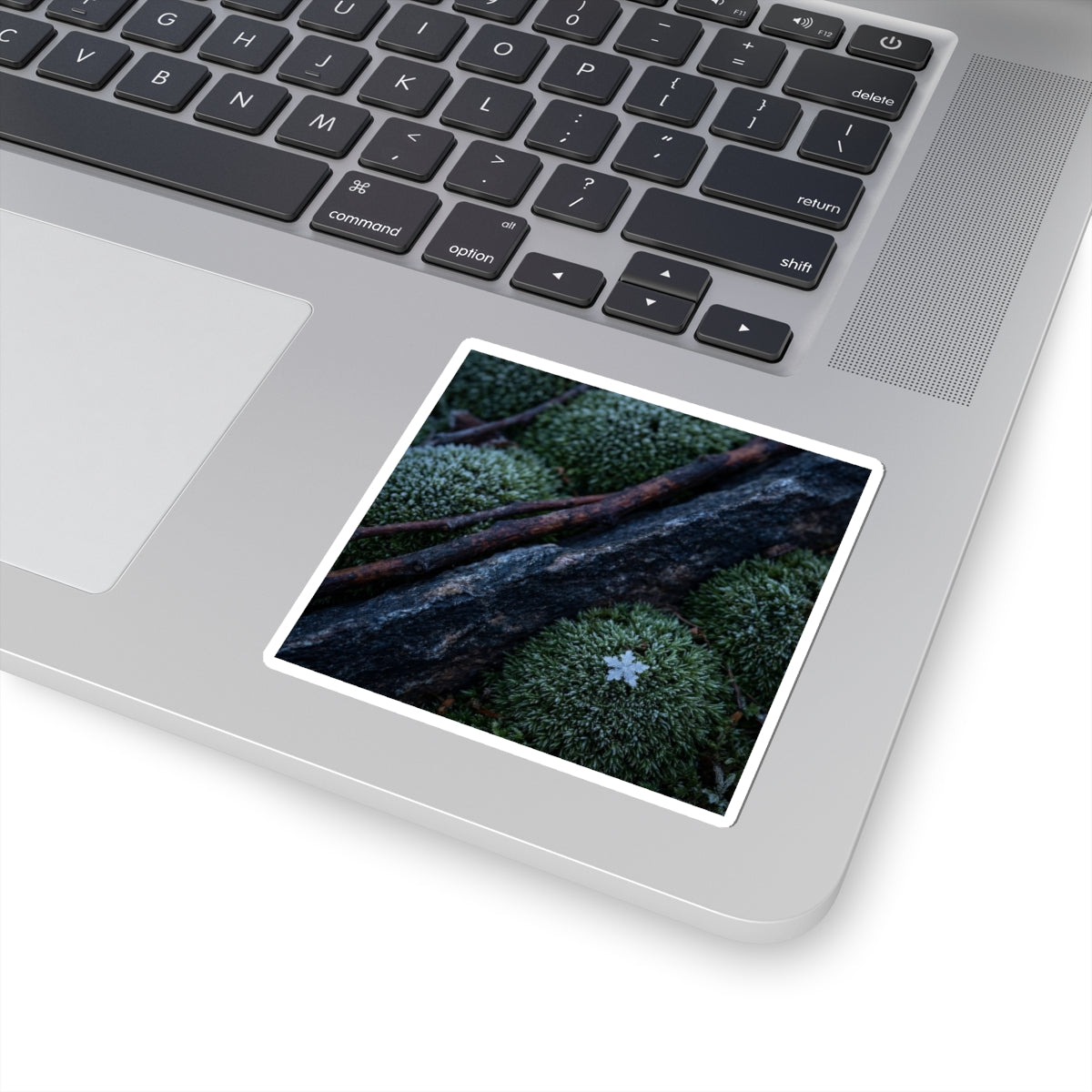 Luxurious Moss Close Up Sticker - Moody Minimal Dark Japandi Art Print