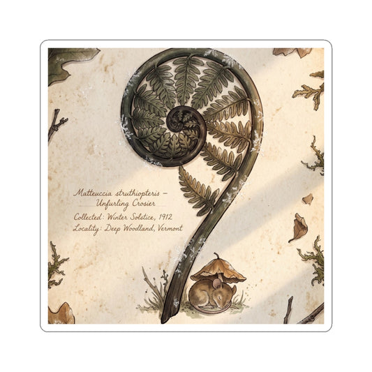 Cottagecore Fern Unfurling in Golden Hour | Herbarium Sticker