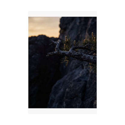 Pine Tree Moody Minimal Wall Art Print | Luxurious Dark Japandi Art