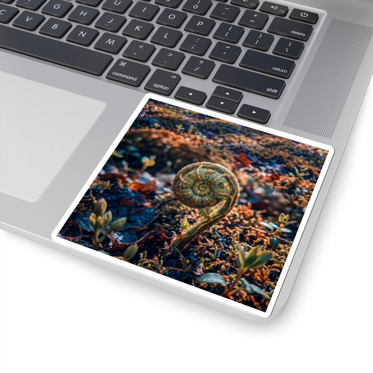 Dappled Fern Unfurling Sticker - Kintsugi Seijaku