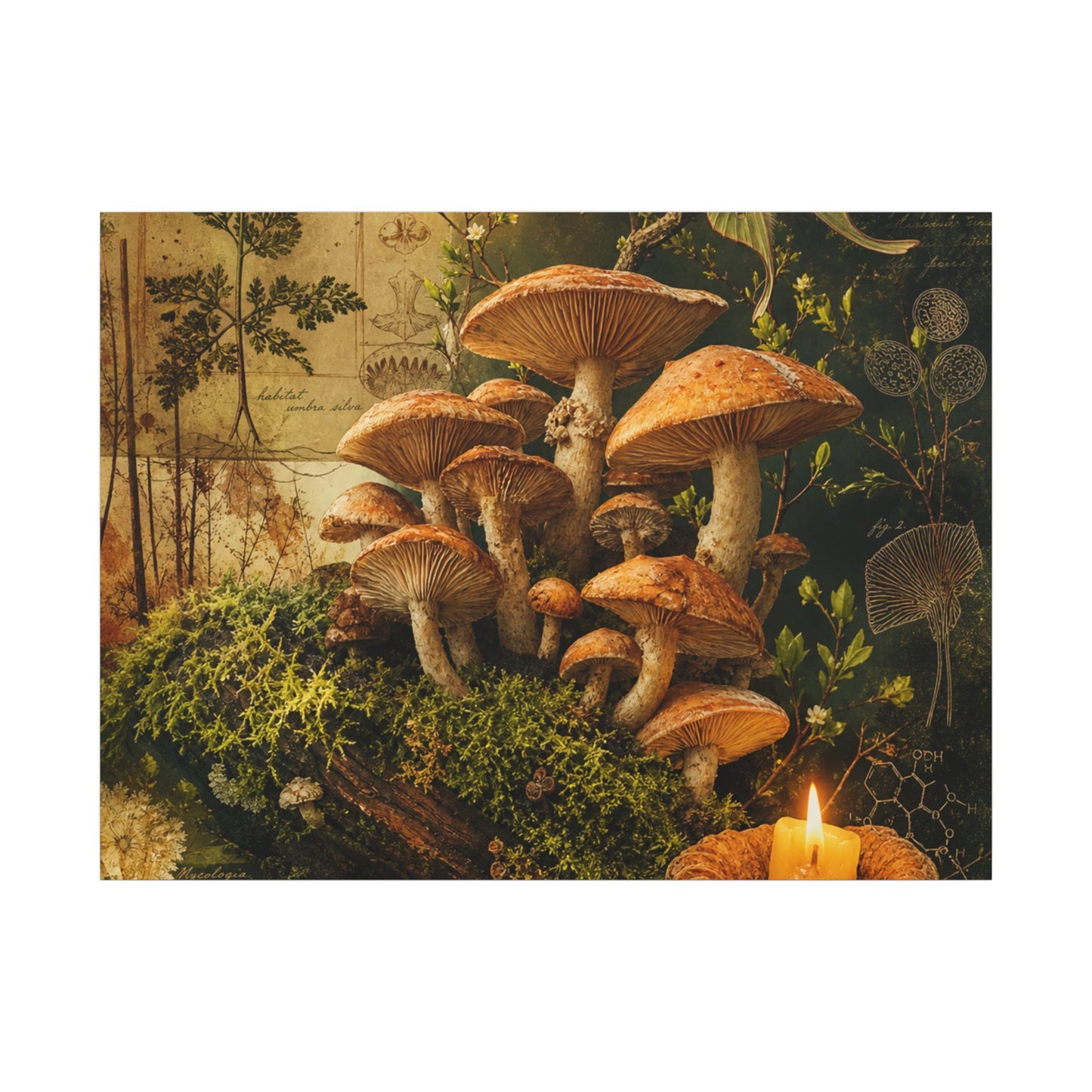 Spring Wild Mushrooms Herbarium Canvas Art | Earthy Decor