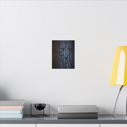 Shadow Play Spring Canvas Art | Dark Japandi Sophisticated Design