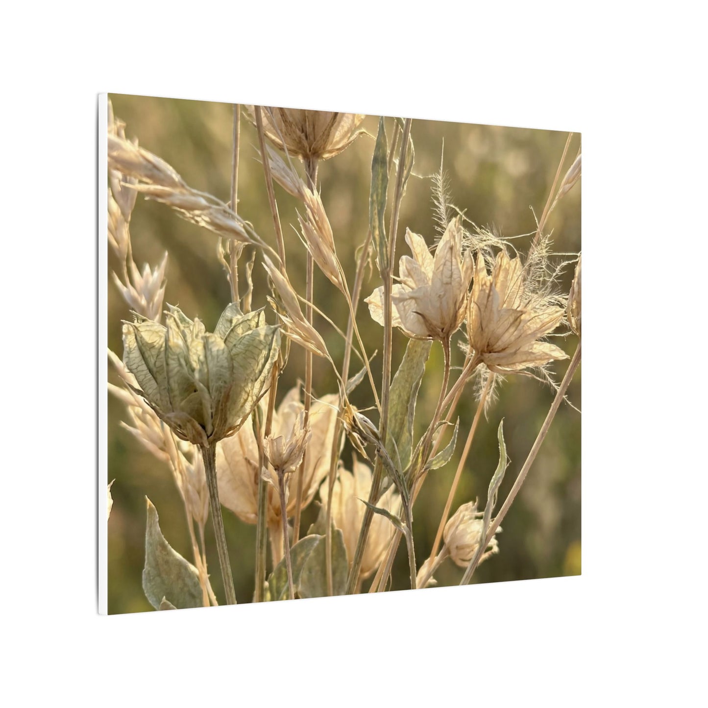 Summer Dried Flowers Minimal Line Canvas Art | Cozy Decor