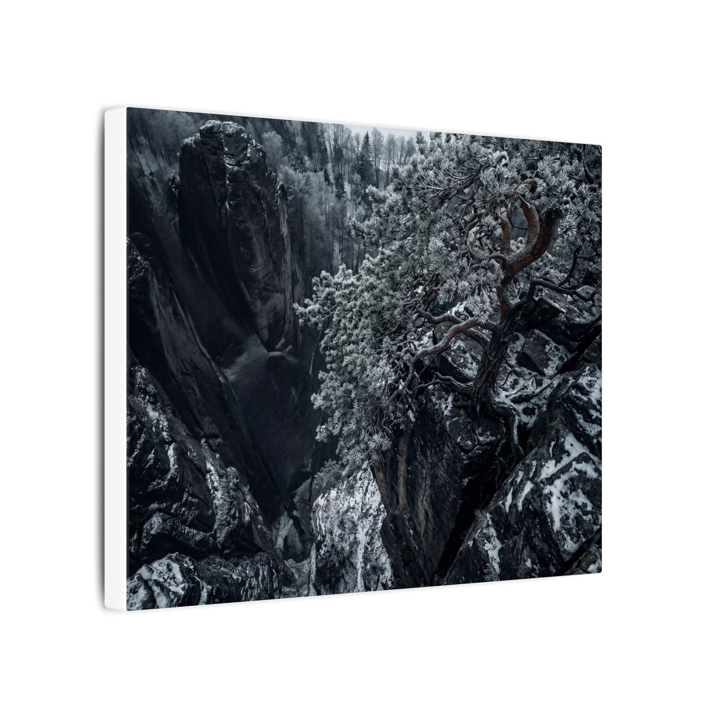 Dark Japandi Pine Tree in Dappled | Dark Texture Canvas Art