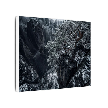 Dark Japandi Pine Tree in Dappled | Dark Texture Canvas Art