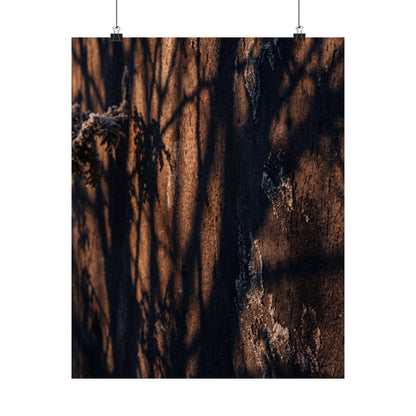 Shadow Play Wall Art Print | Winter Dark Japandi Moody Minimal Art Art Print