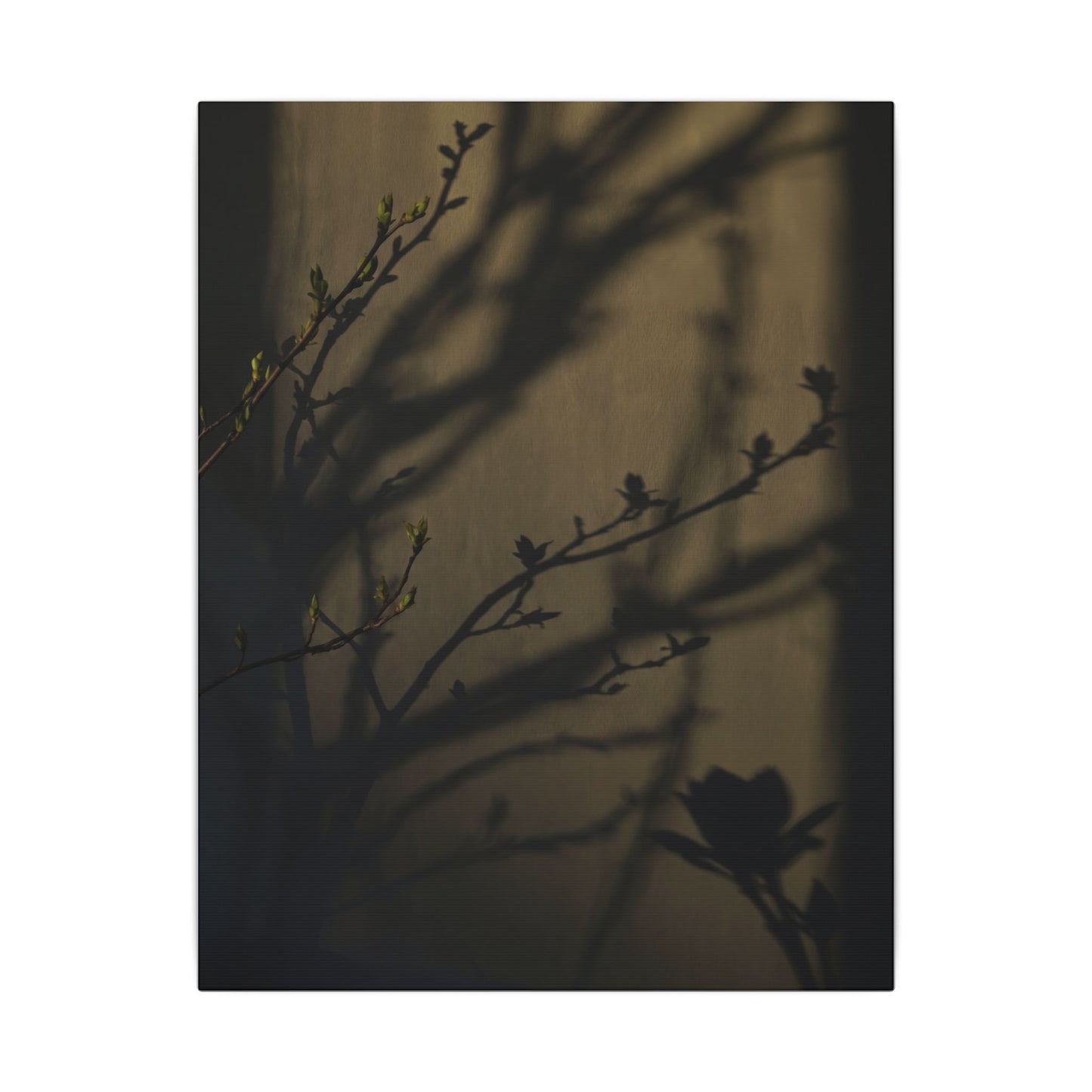Seijaku Shadow Play Canvas Art - Dark Japandi Charcoal Ink