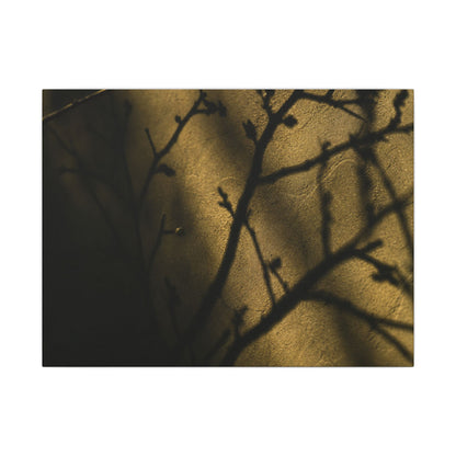 Golden Hour Shadow Play Canvas Art - Dark Japandi Seijaku