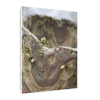 Overcast Ceramic Bowl Canvas Art - Japandi Fukinsei