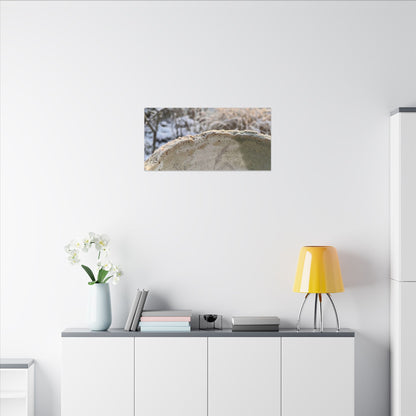Ceramic Bowl Canvas Art | Winter Japandi Minimal Line Art