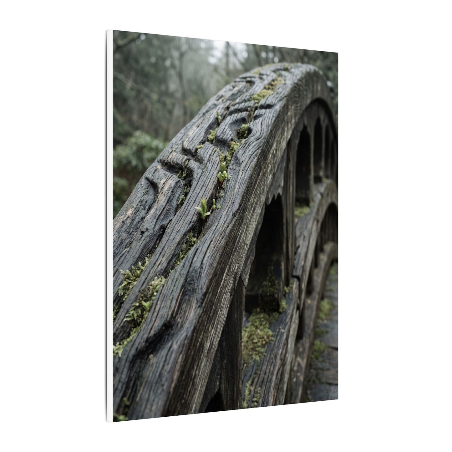 Overcast Wooden Bridge Canvas Art - Japandi Kanso