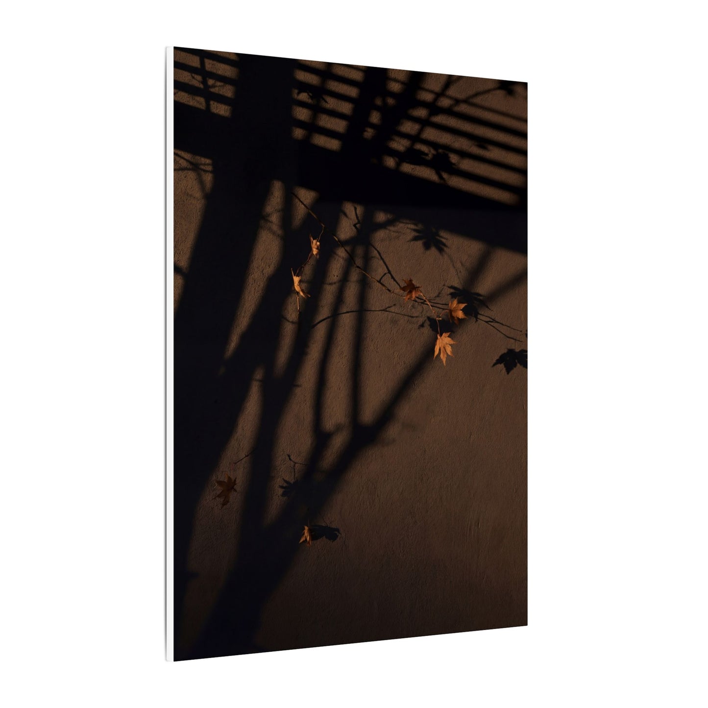 Shadow Play Autumn Canvas Art | Dark Japandi Luxurious Design