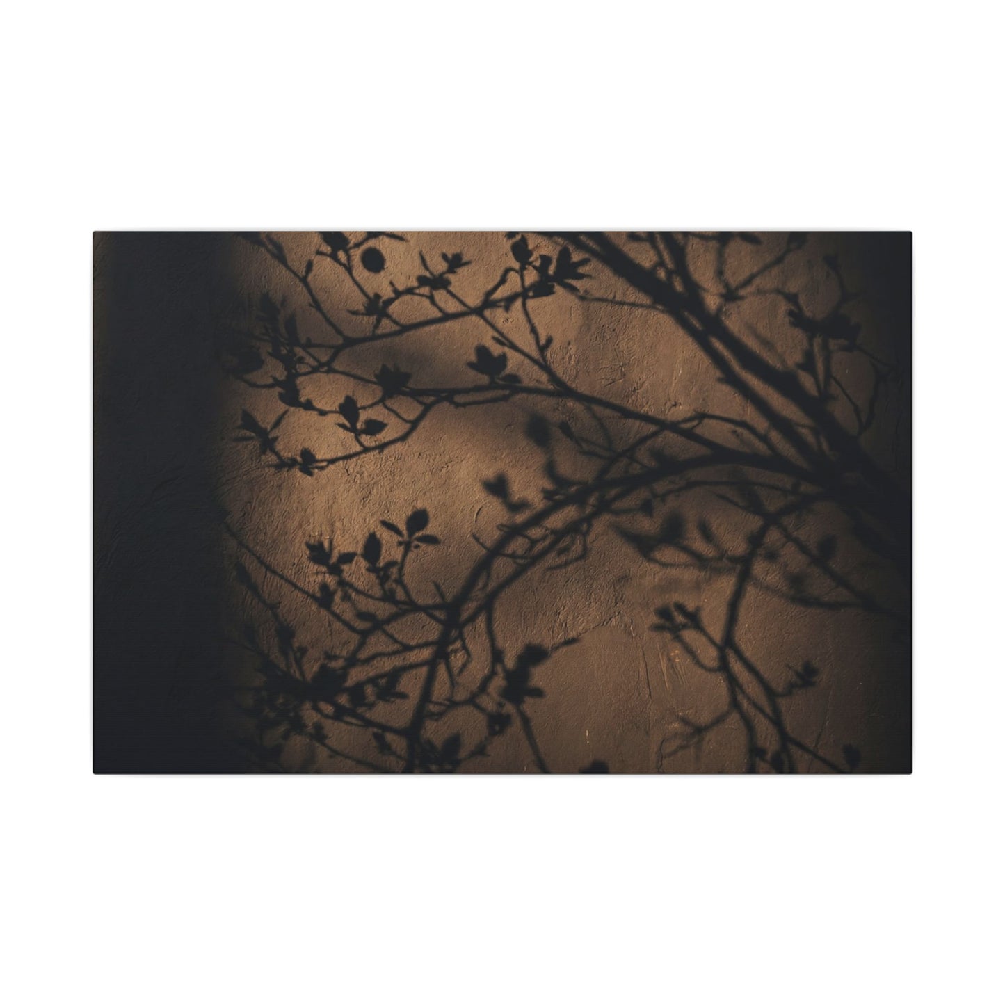 Dark Japandi Shadow Play in Golden Hour | Shadow Zen Canvas Art