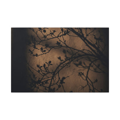Dark Japandi Shadow Play in Golden Hour | Shadow Zen Canvas Art