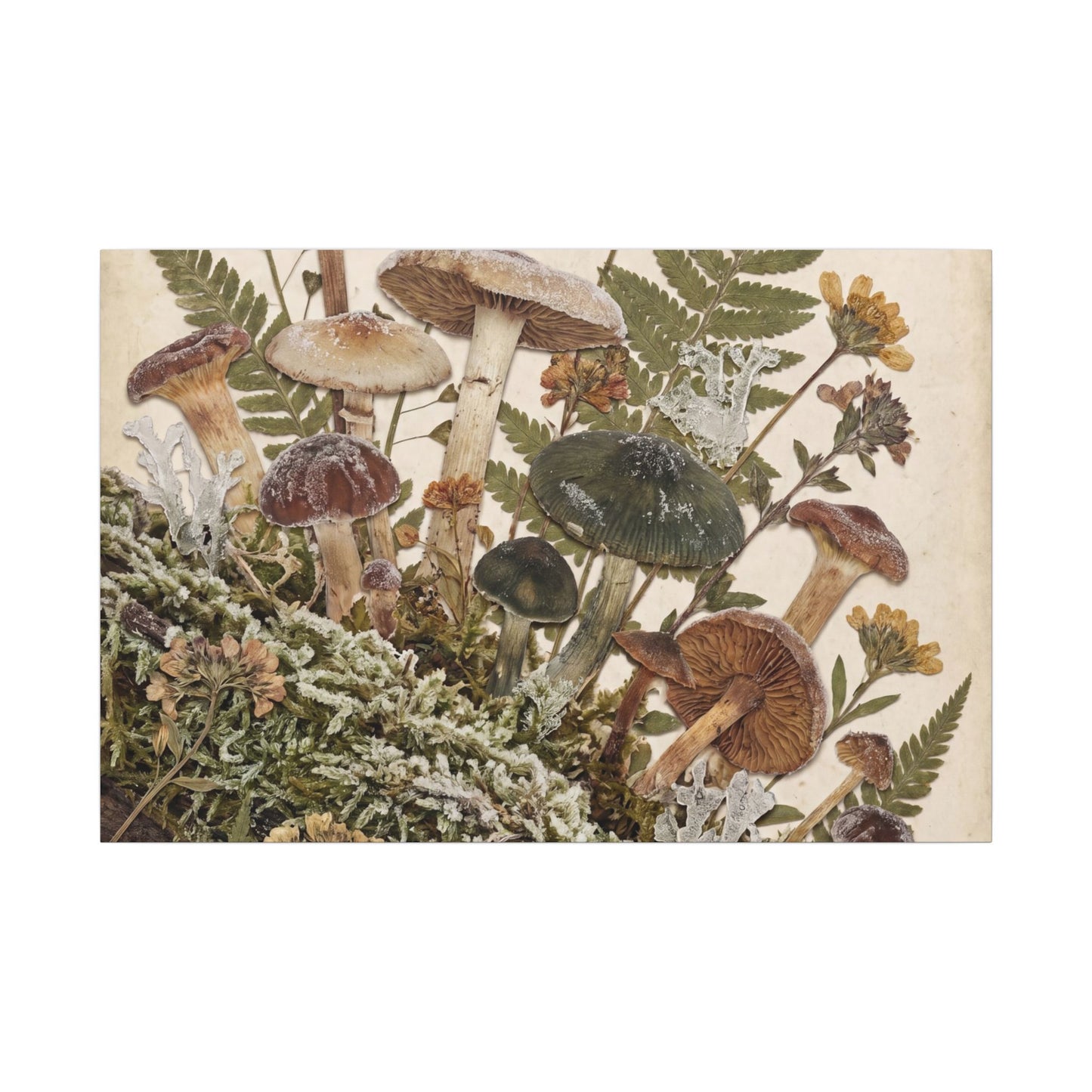 Winter Wild Mushrooms Herbarium Canvas Art | Enchanting Decor