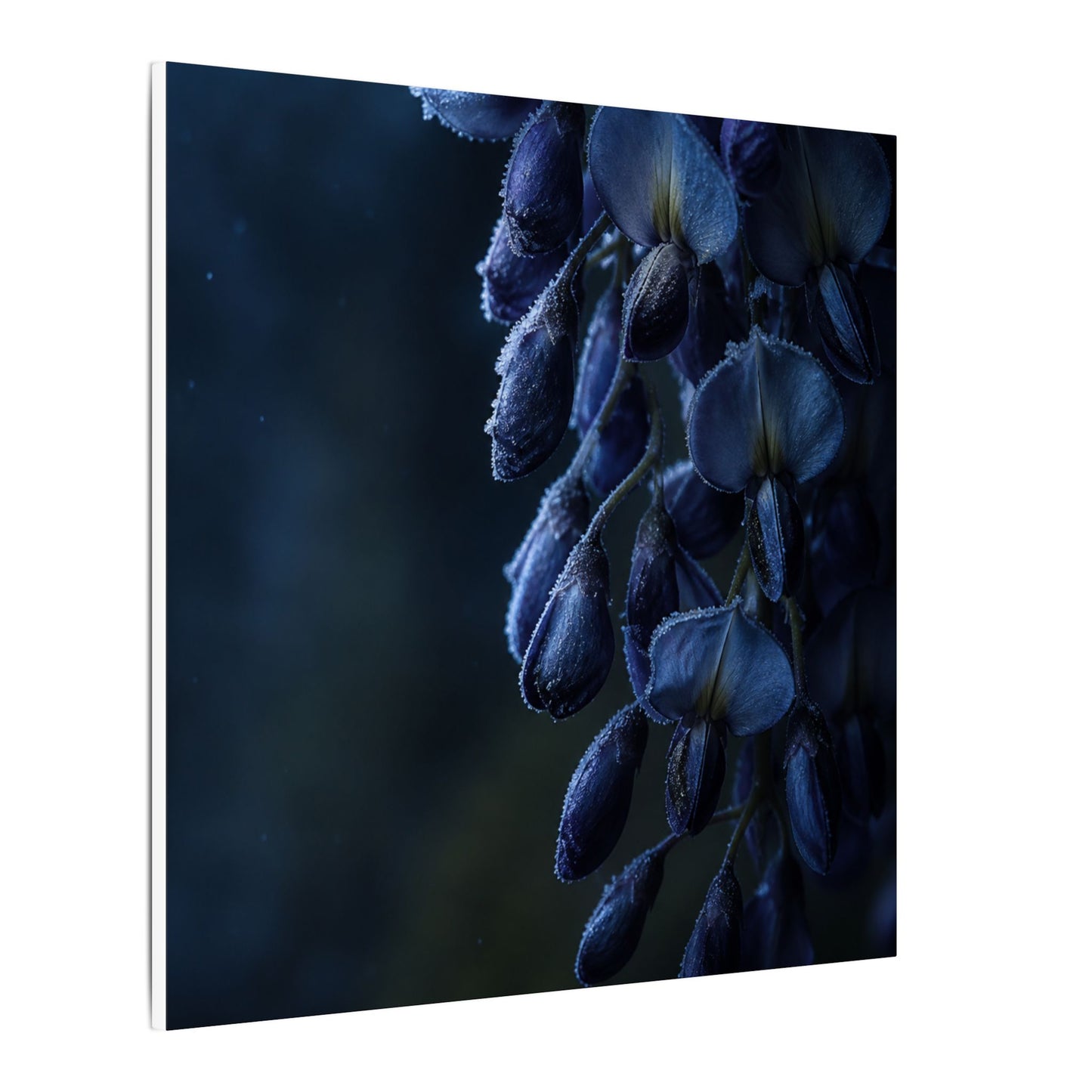 Winter Wisteria Shadow Zen Canvas Art | Atmospheric Decor