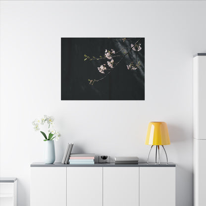 Cherry Blossom Spring Canvas Art | Dark Japandi Sophisticated Design