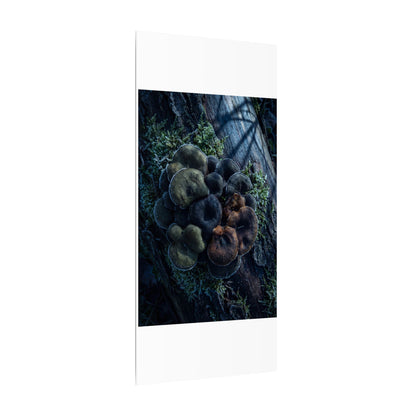 Wild Mushrooms Moody Minimal Canvas Art | Moody Dark Japandi Art
