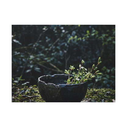 Dappled Ceramic Bowl Canvas Art - Dark Japandi Datsuzoku