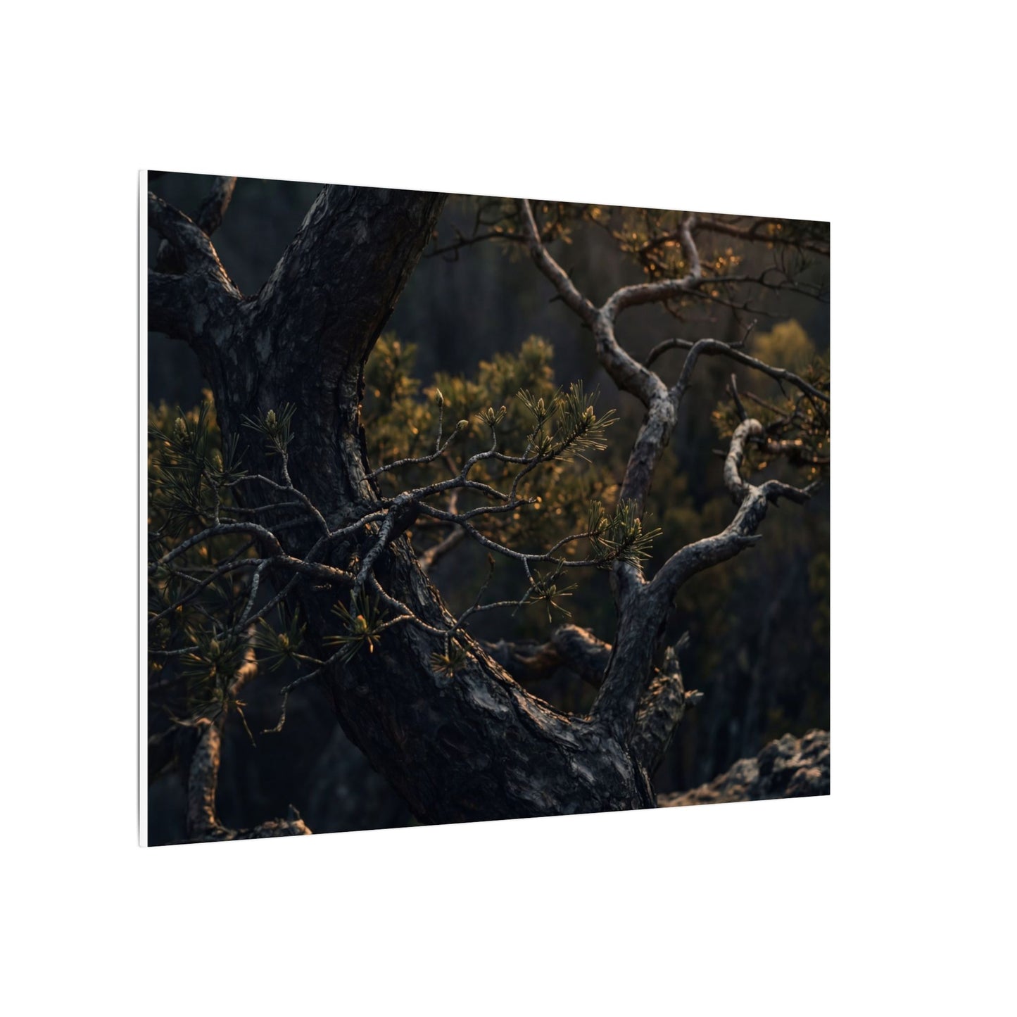 Moody Pine Tree Canvas Art - Moody Minimal Dark Japandi