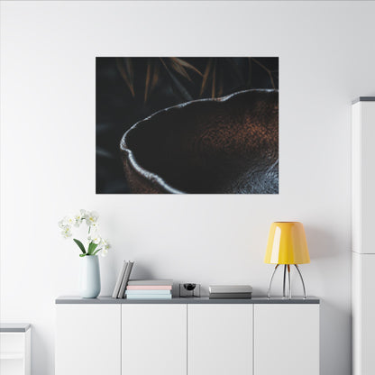 Luxurious Ceramic Bowl Canvas Art - Shadow Zen Dark Japandi