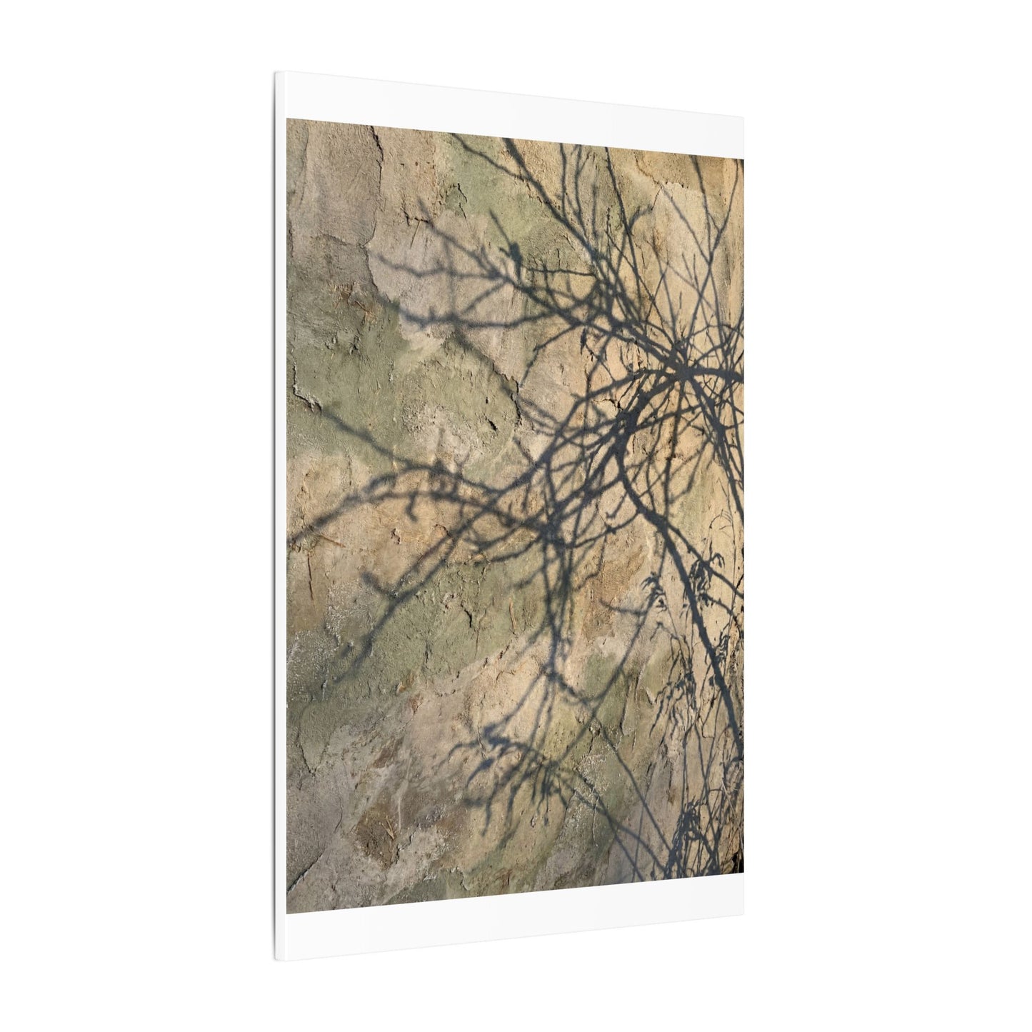 Japandi Shadow Play in Golden Hour | Texture Canvas Art