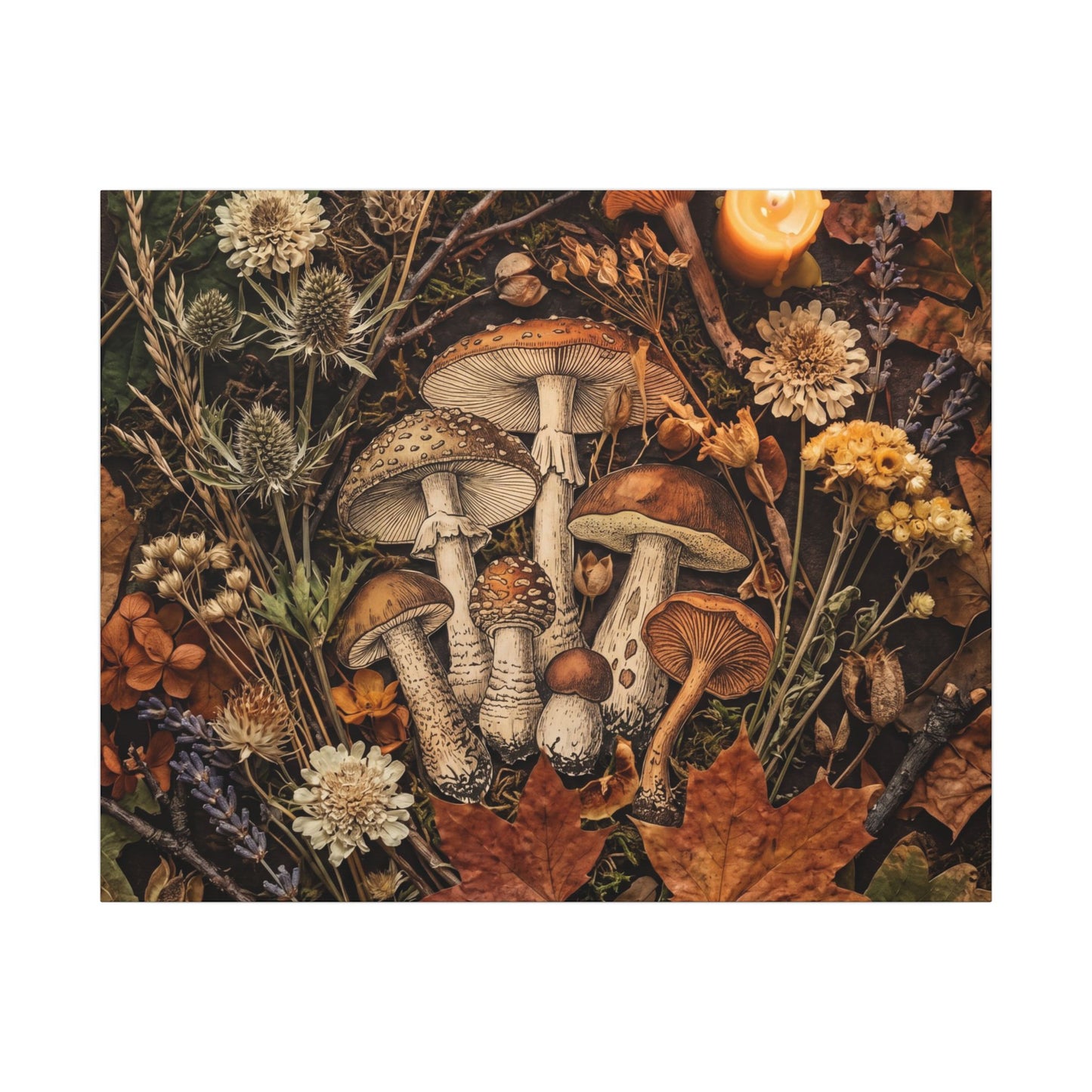 Autumn Dried Flowers Mushroom Illustration Canvas Art | Earthy Decor