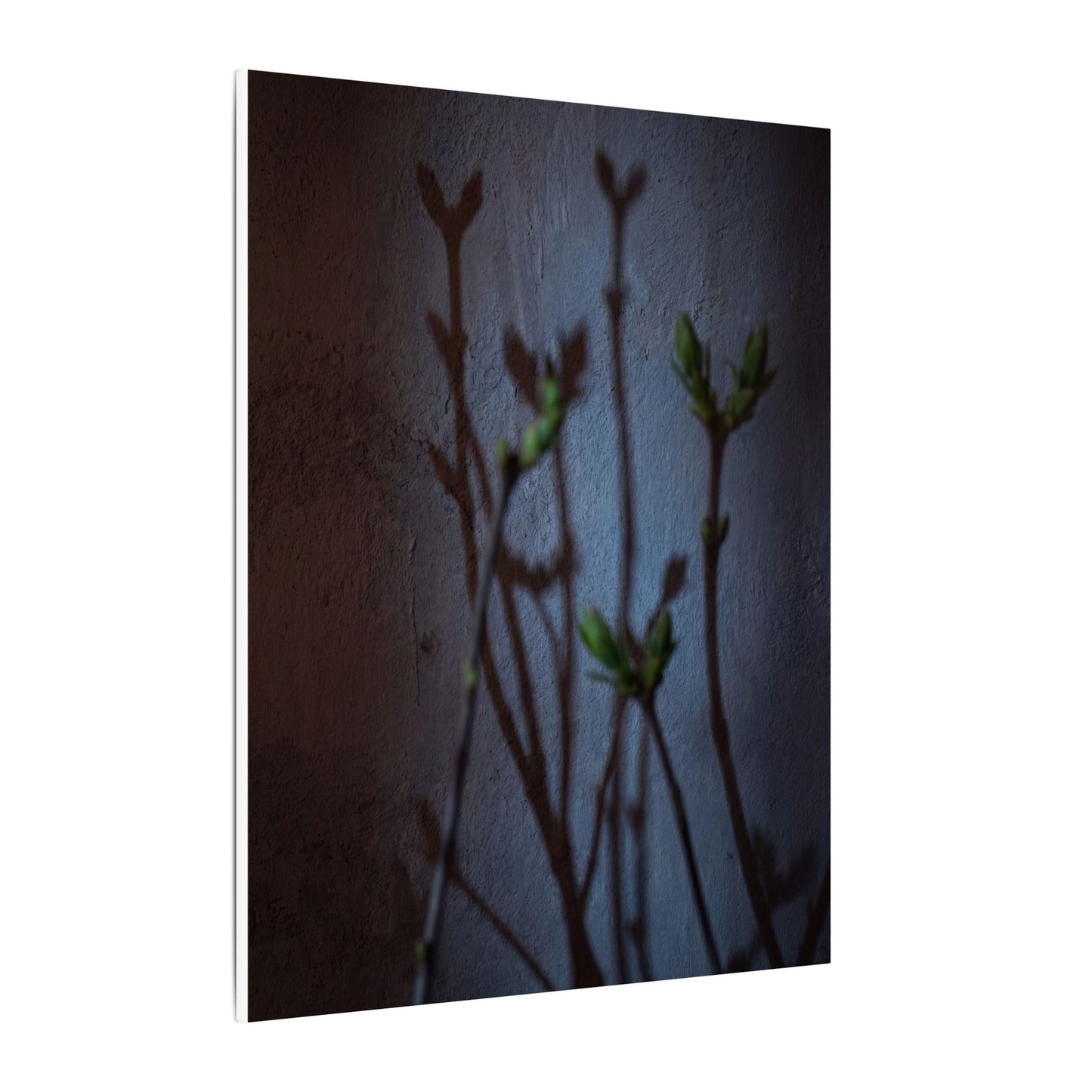 Shadow Play Spring Canvas Art | Dark Japandi Sophisticated Design