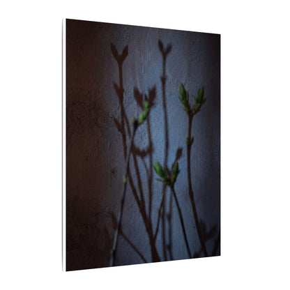 Shadow Play Spring Canvas Art | Dark Japandi Sophisticated Design