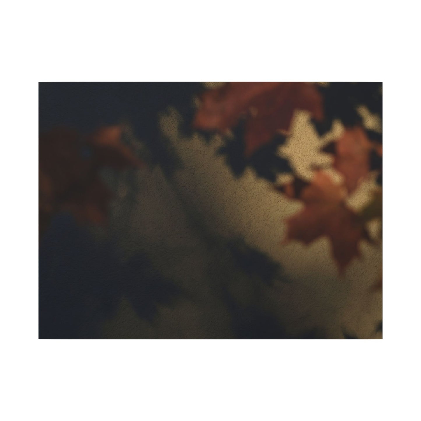 Shadow Play Canvas Art | Autumn Dark Japandi Moody Minimal Art
