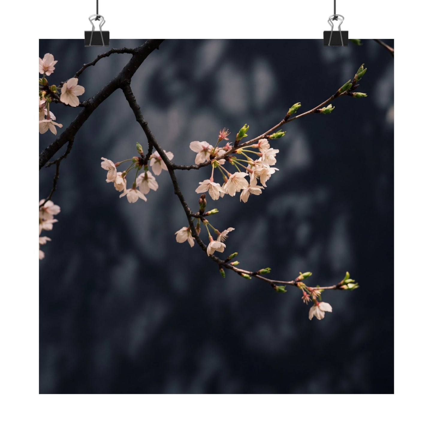 Dappled Cherry Blossom Wall Art Print - Dark Japandi Ma