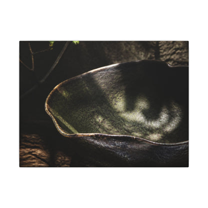 Sophisticated Ceramic Bowl Canvas Art - Dark Texture Dark Japandi