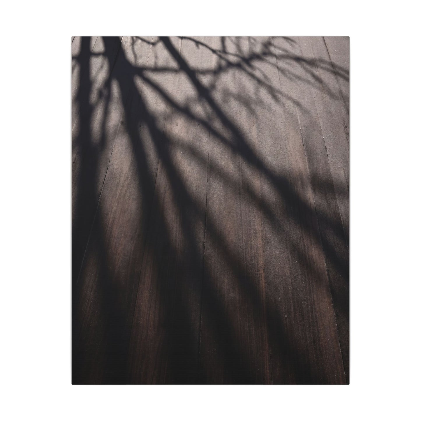 Dark Japandi Shadow Play in Dawn | Moody Minimal Canvas Art