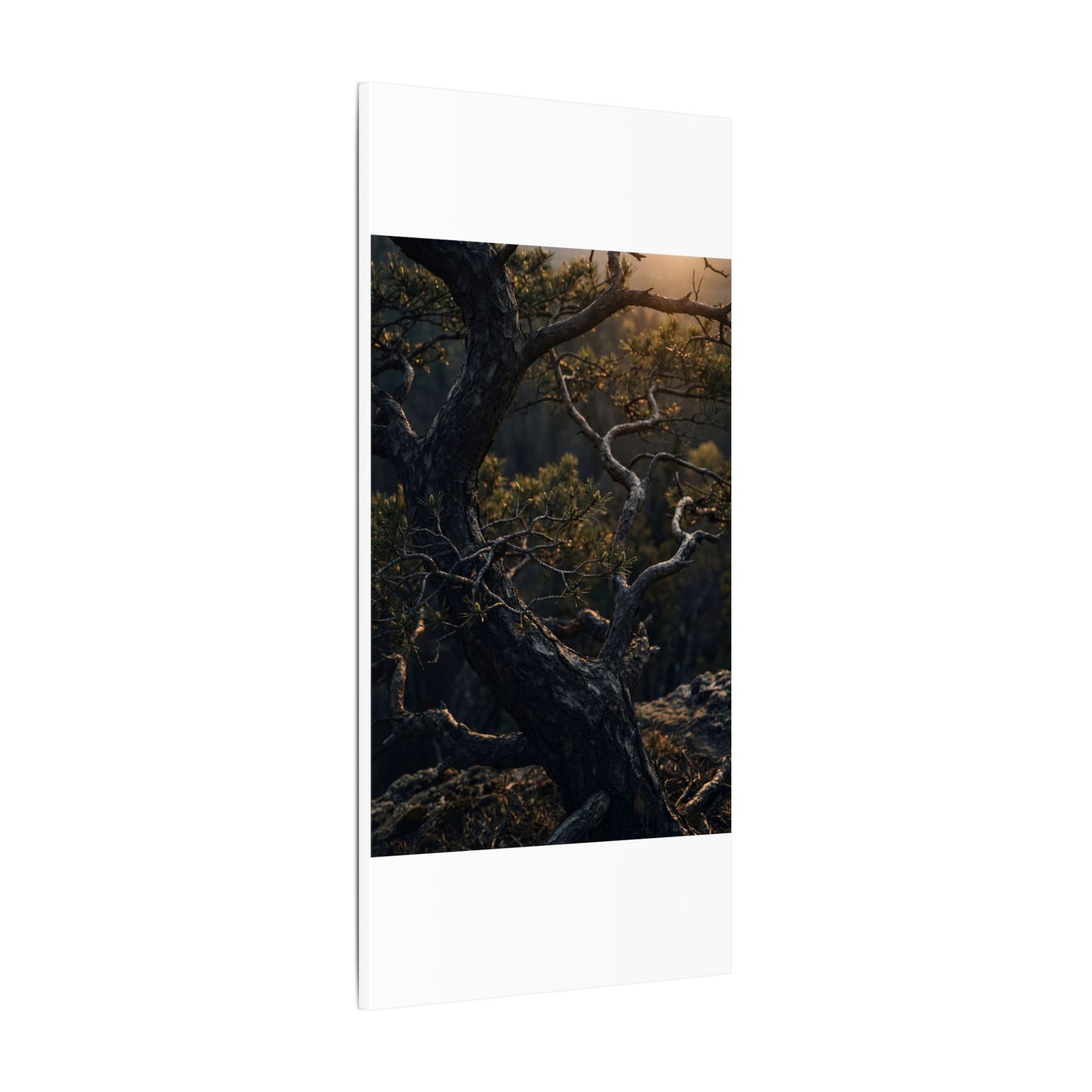 Moody Pine Tree Canvas Art - Moody Minimal Dark Japandi
