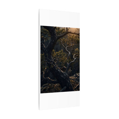 Moody Pine Tree Canvas Art - Moody Minimal Dark Japandi