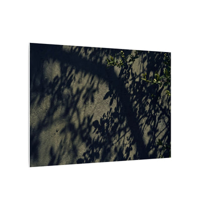 Atmospheric Shadow Play Canvas Art - Moody Minimal Dark Japandi