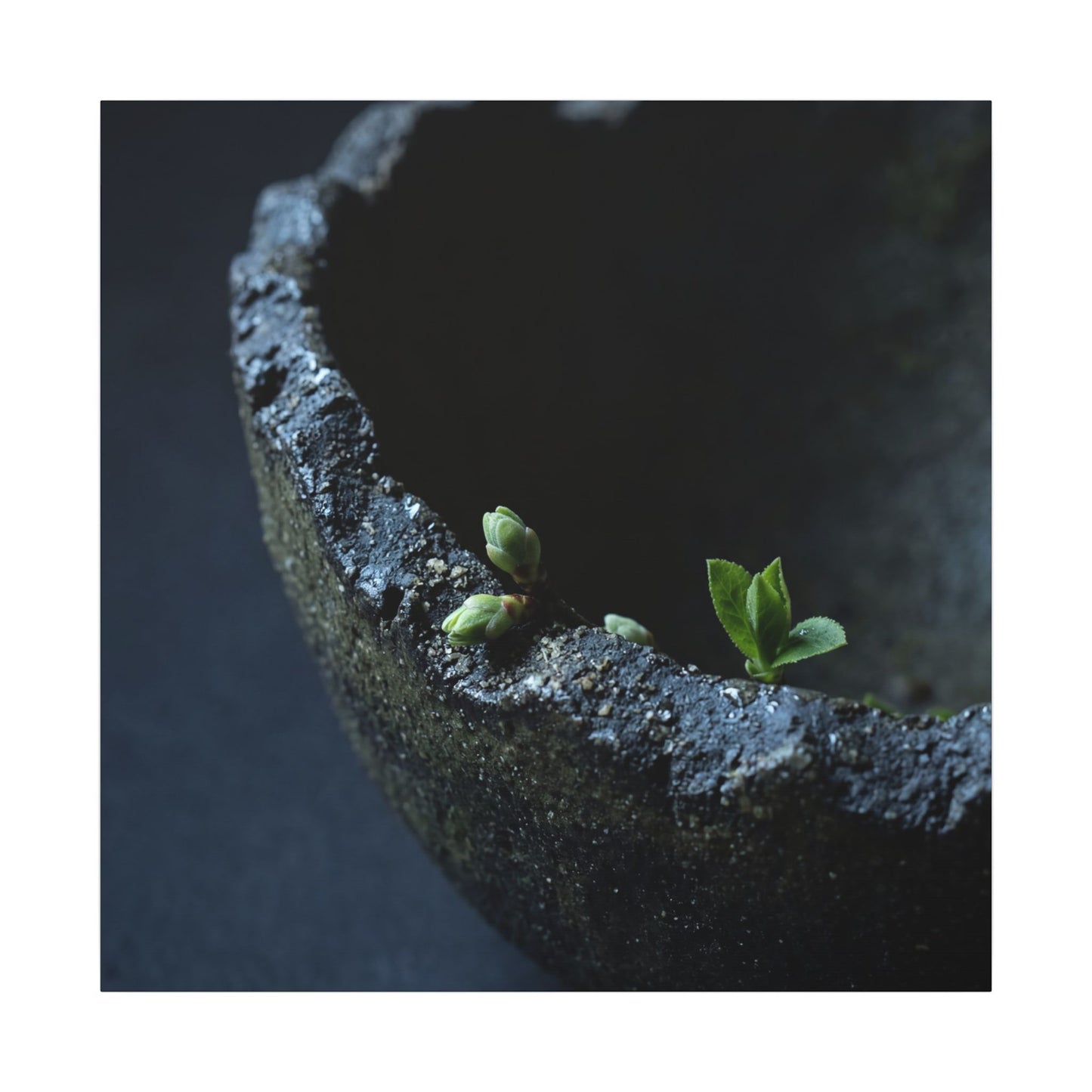 Ceramic Bowl Moody Minimal Canvas Art | Sophisticated Dark Japandi Art