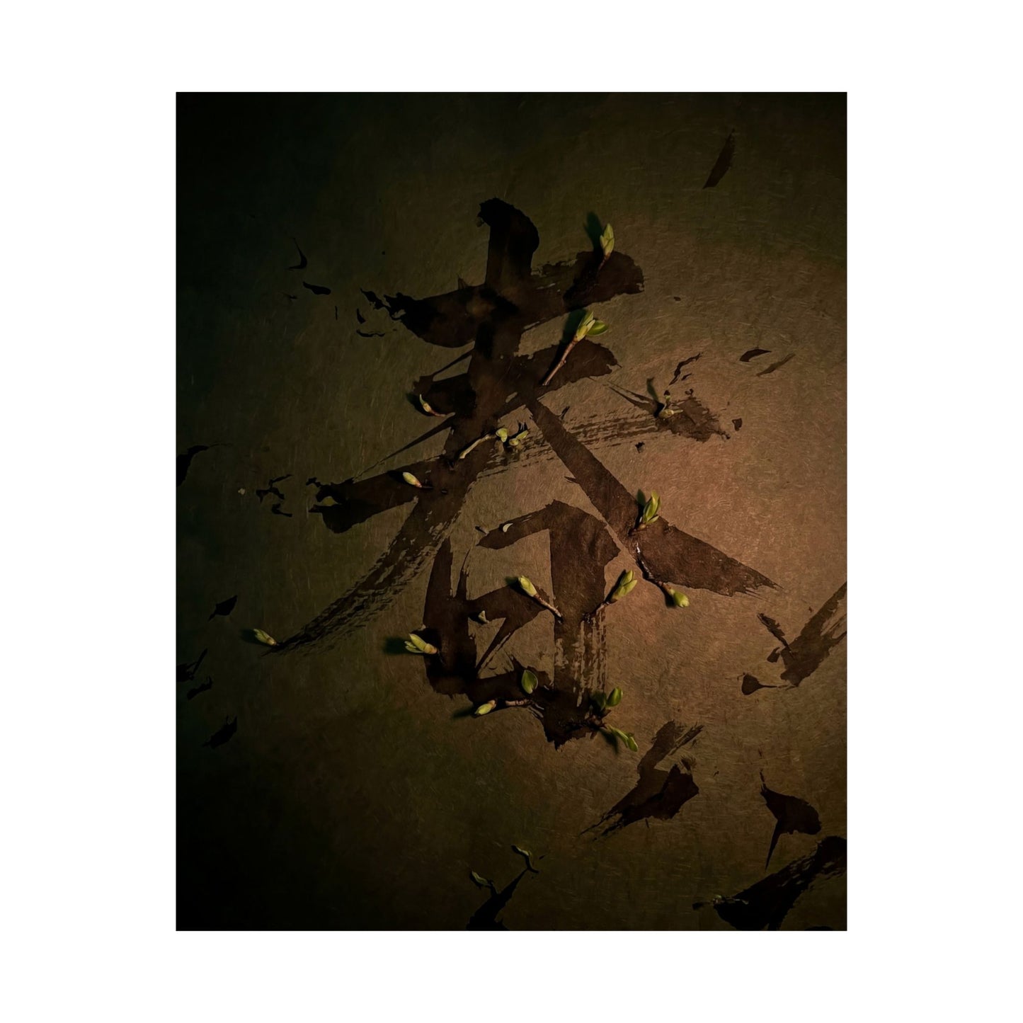 Spring Calligraphy Shadow Zen Wall Art Print | Sophisticated Decor