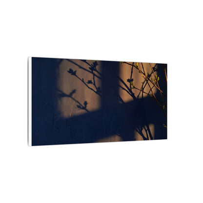 Shadow Play Canvas Art | Spring Dark Japandi Shadow Zen Art