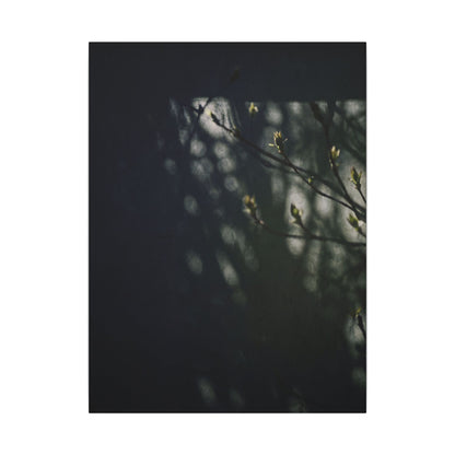 Dark Japandi Shoji Screen in Dappled | Moody Minimal Canvas Art