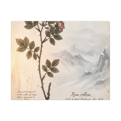 Winter Mountain Mist Herbarium Canvas Art | Earthy Decor