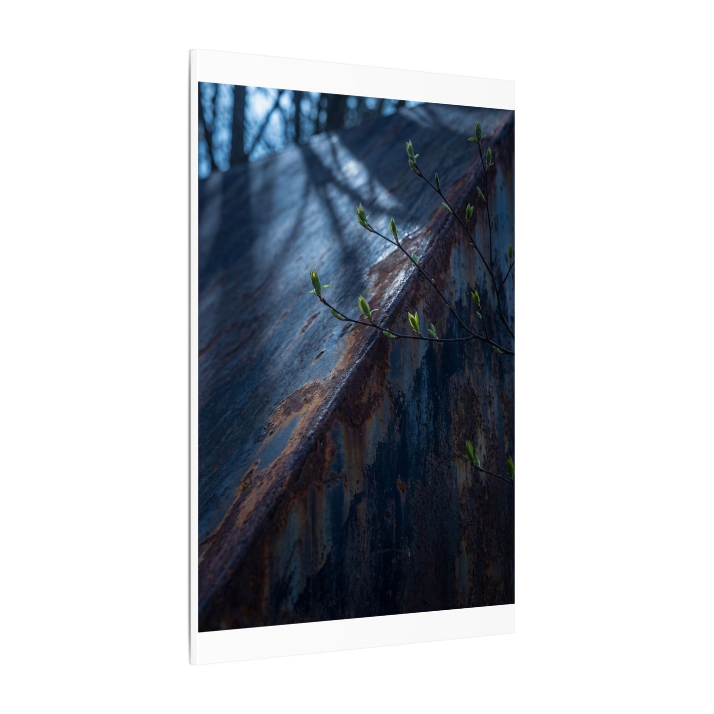 Rust Patina Canvas Art | Spring Dark Japandi Shadow Zen Art