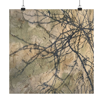 Shadow Play Winter Wall Art Print | Japandi Earthy Design