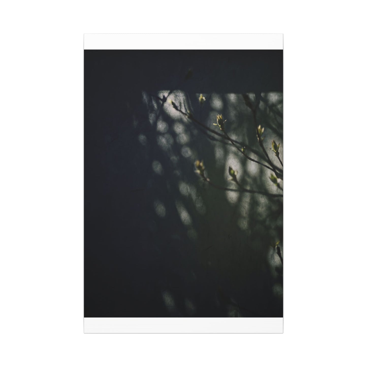 Dark Japandi Shoji Screen in Dappled | Moody Minimal Canvas Art