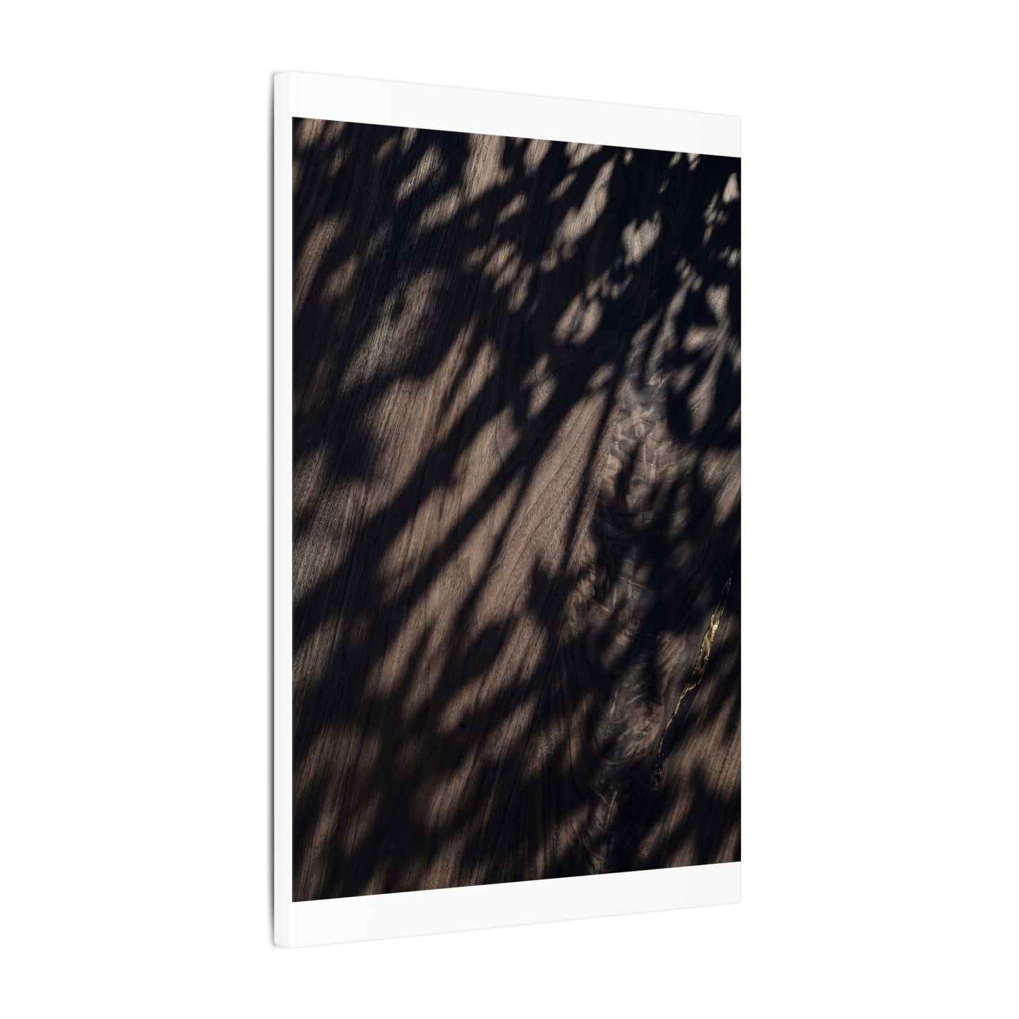 Shadow Play Summer Canvas Art | Dark Japandi Moody Design